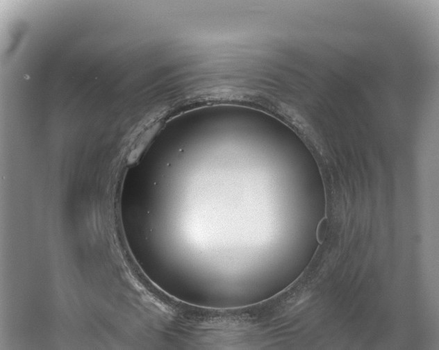 X0000062840625200601171446