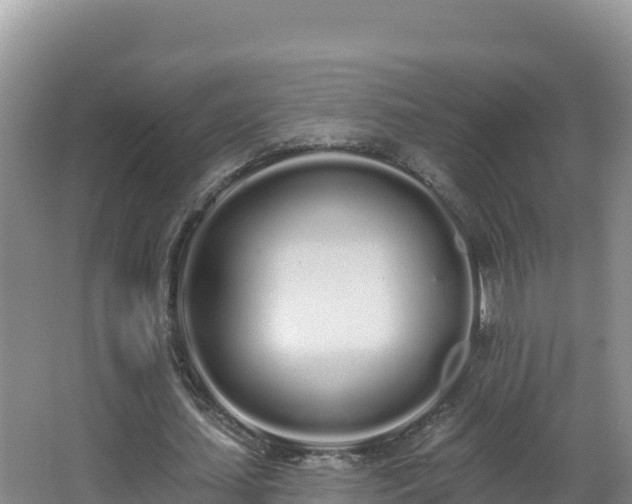 X0000062840627200601171446