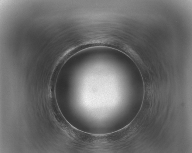X0000062840628200601171446