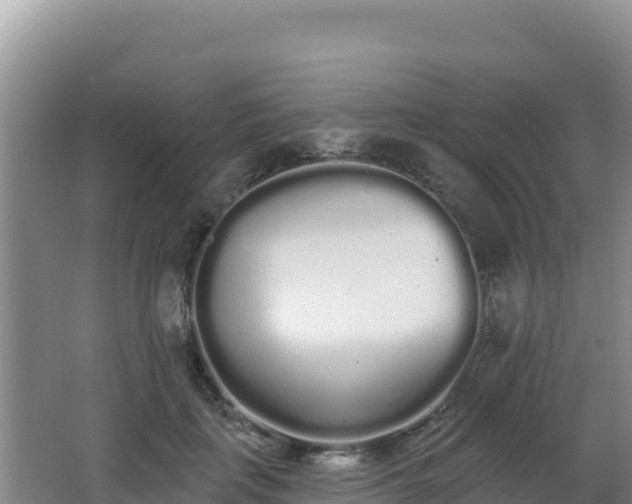 X0000062840651200601171446