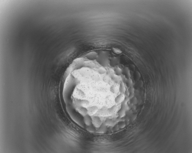 X0000062840652200601171446