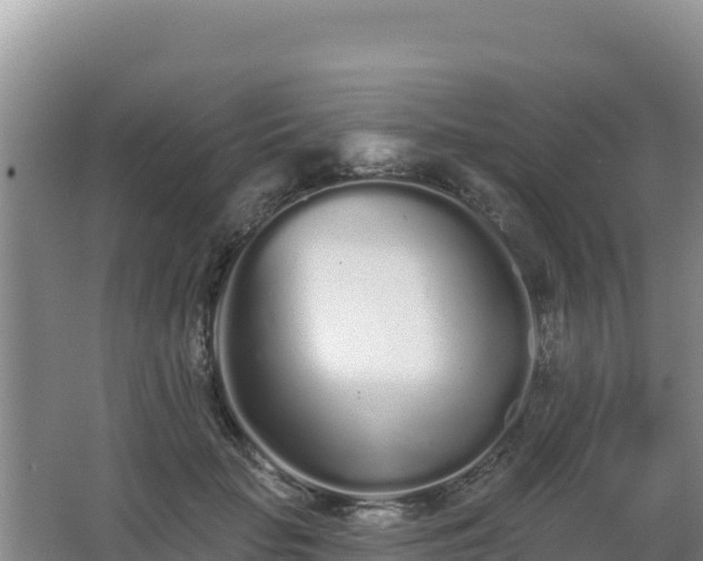 X0000062840653200601171446