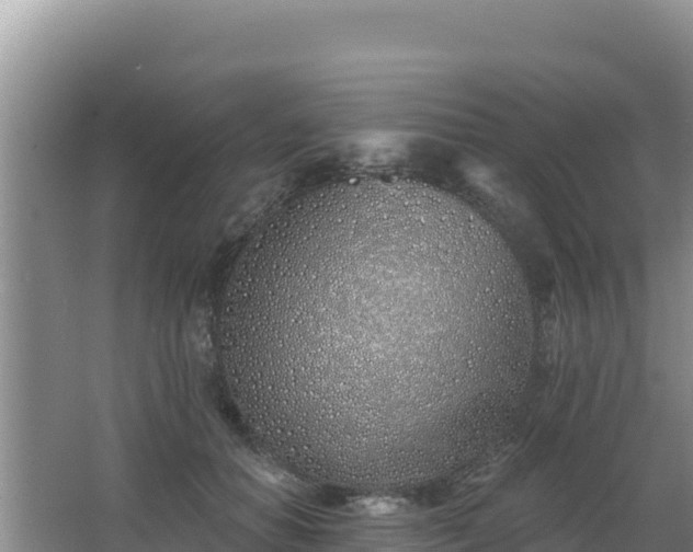 X0000062840654200601171446