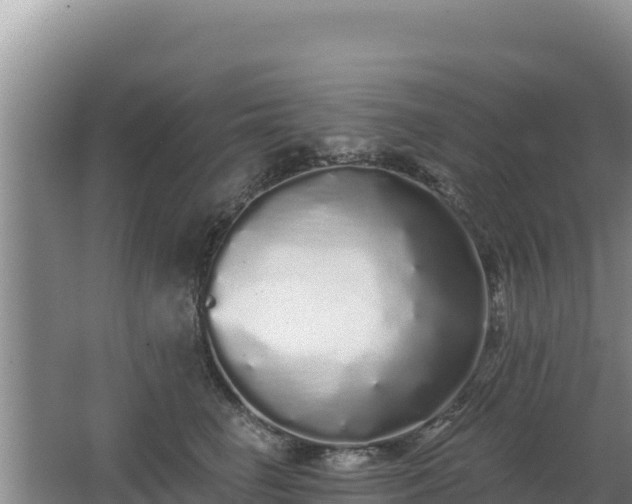 X0000062840662200601171446