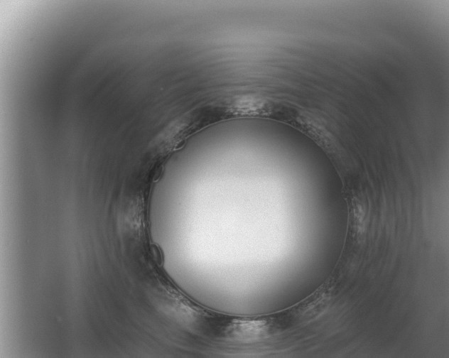 X0000062840665200601171447