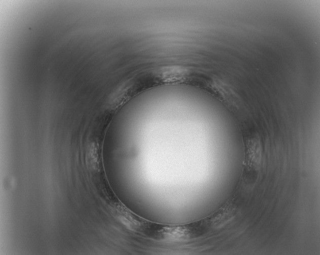 X0000062840667200601171447