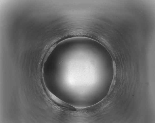 X0000062840673200601171446