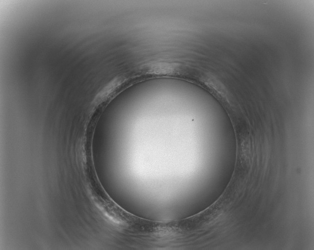 X0000062840682200601171446