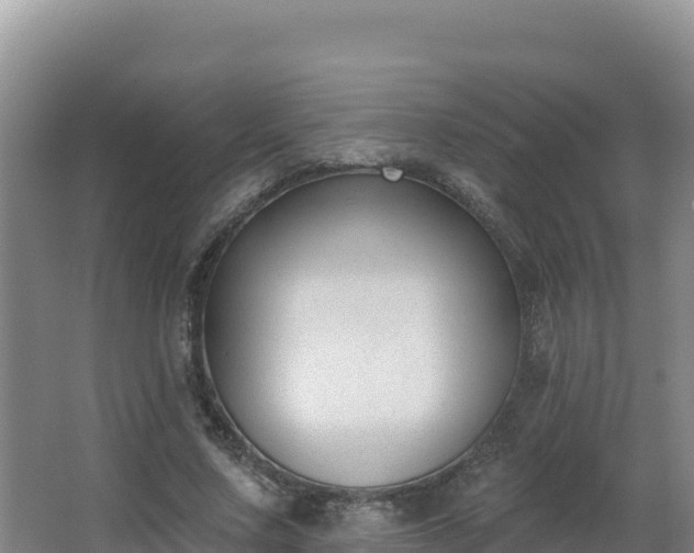 X0000062840683200601171446