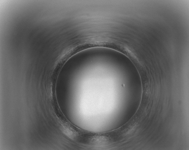 X0000062840685200601171446