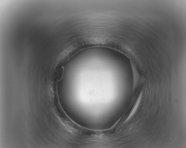 X0000062840688200601171446