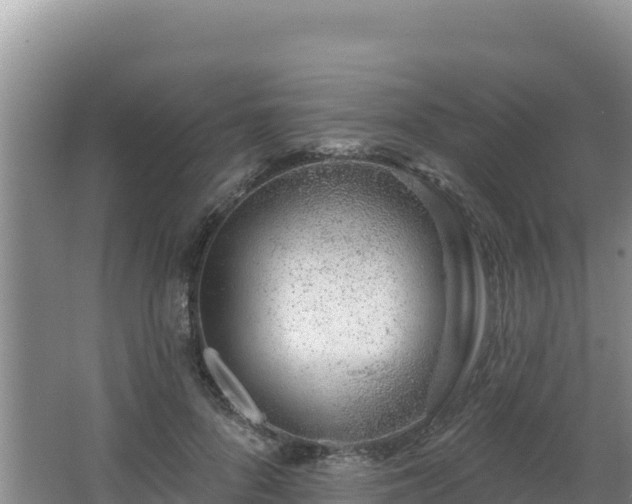 X0000062840696200601171445
