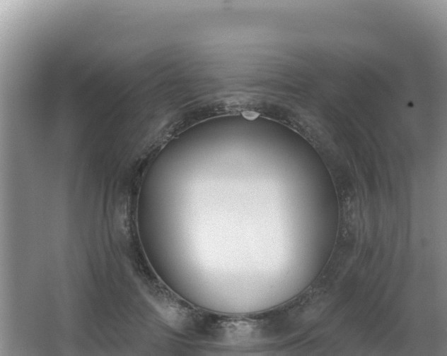 X0000062840698200601171445