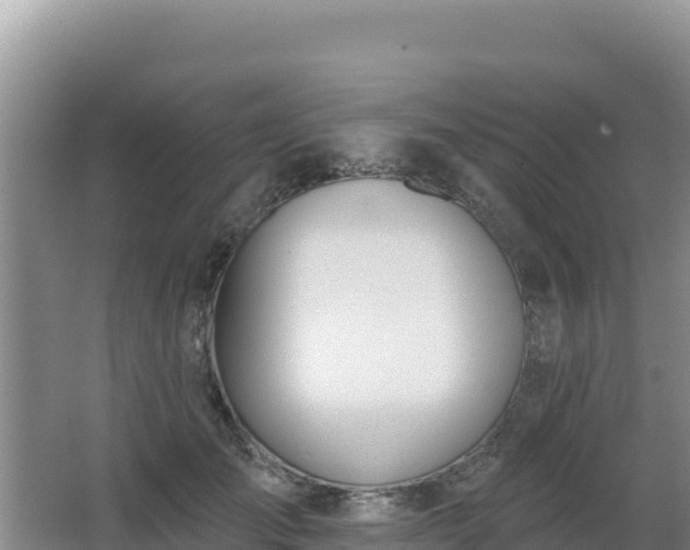 X0000062840701200601171445