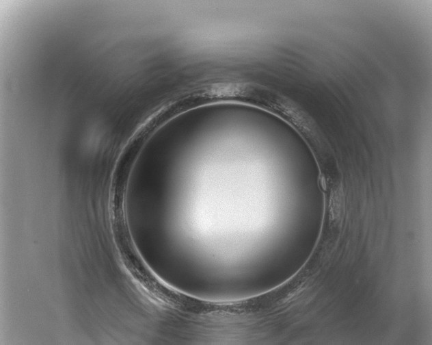 X0000062840722200601171444
