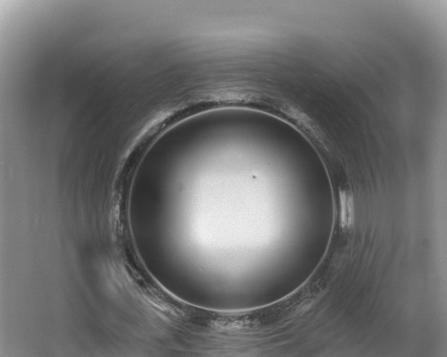 X0000062840723200601171444
