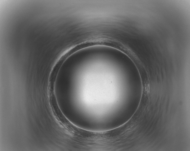 X0000062840724200601171444