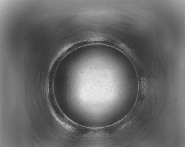 X0000062840726200601171444