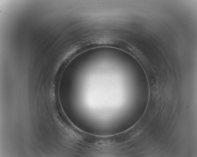 X0000062840727200601171444