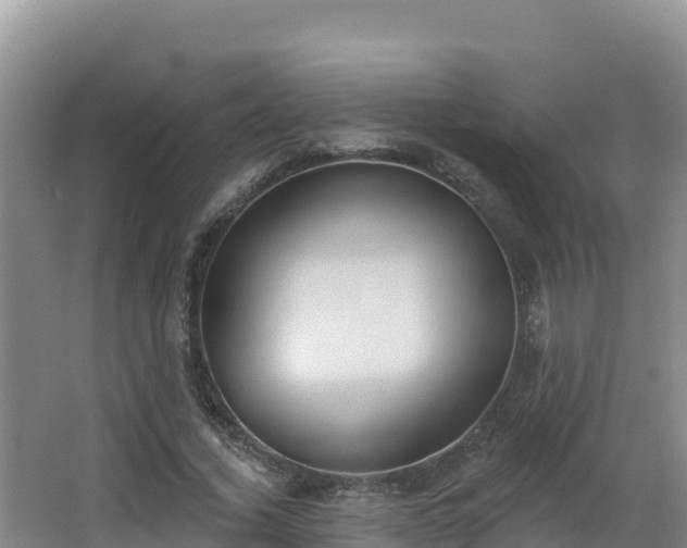 X0000062840732200601171444