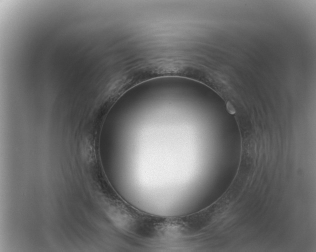 X0000062840743200601171445