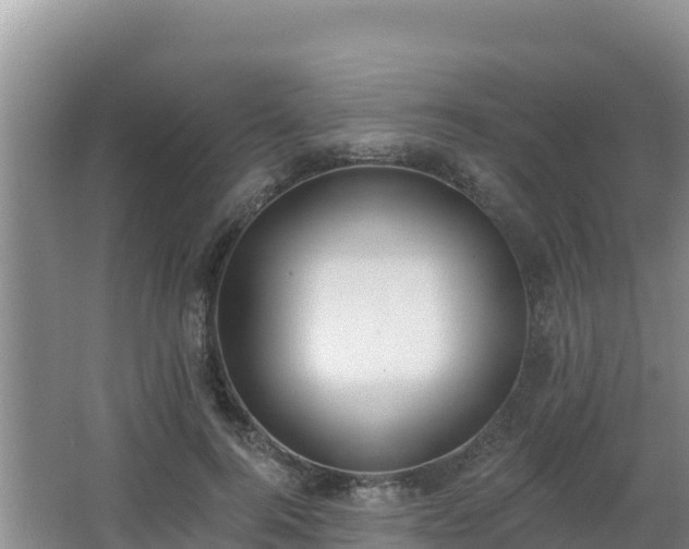 X0000062840744200601171445