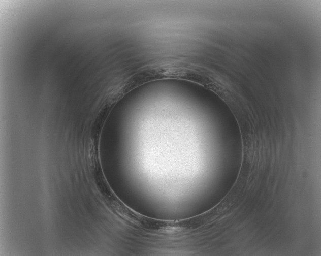 X0000062840748200601171445