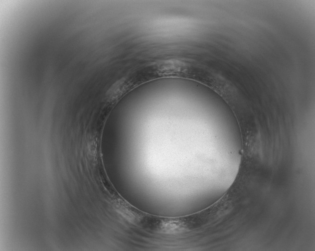 X0000062840753200601171445
