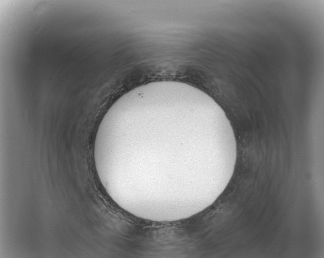 X0000062840769200601171444