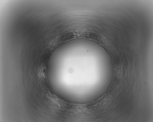 X0000062840770200601171444