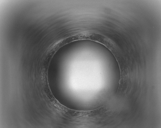 X0000062840773200601171444