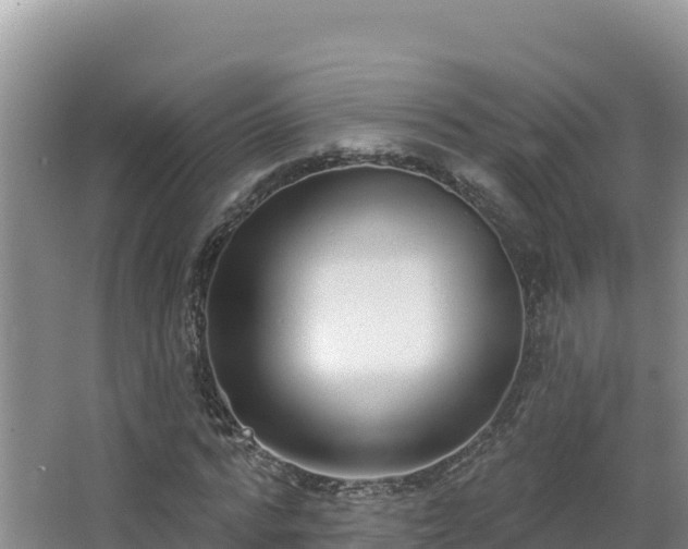X0000062840776200601171444