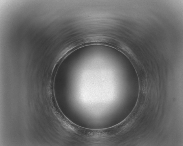 X0000062840786200601171444