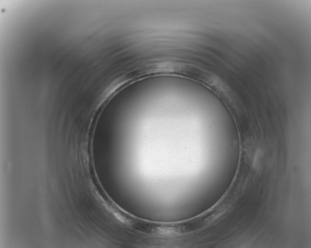 X0000062840794200601171444