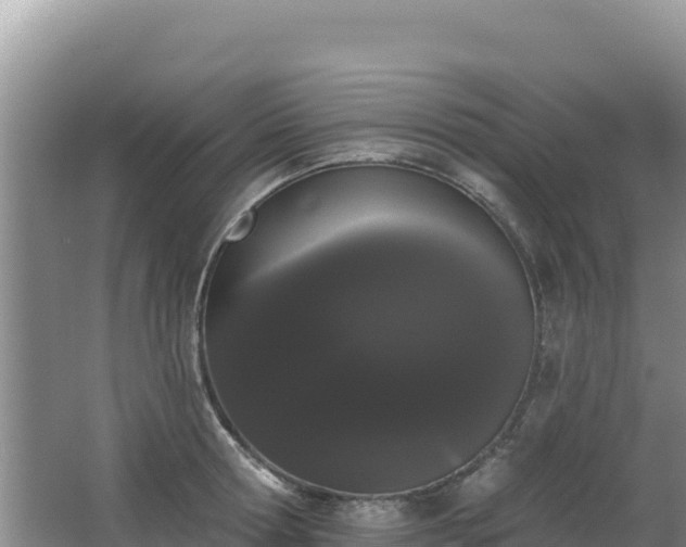 X0000062840802200601171444