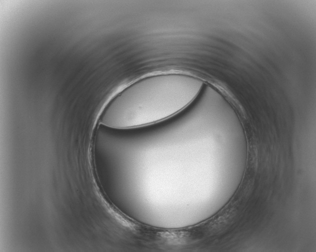 X0000062840805200601171444