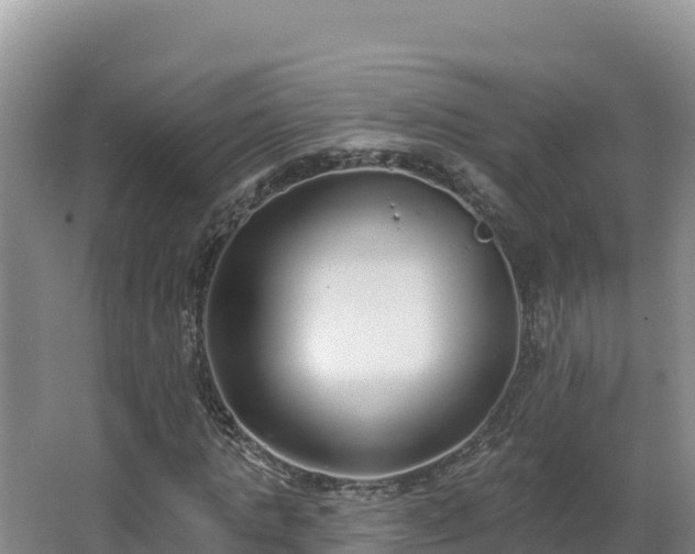 X0000062840821200601171443