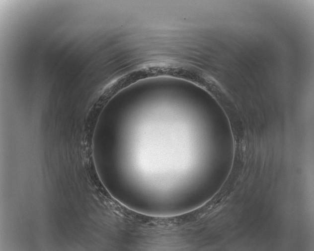 X0000062840822200601171443