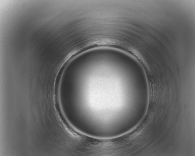 X0000062840845200601171443