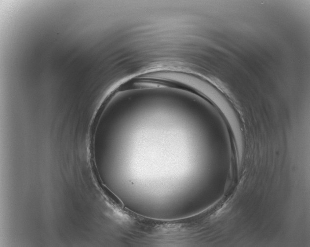 X0000062840846200601171443