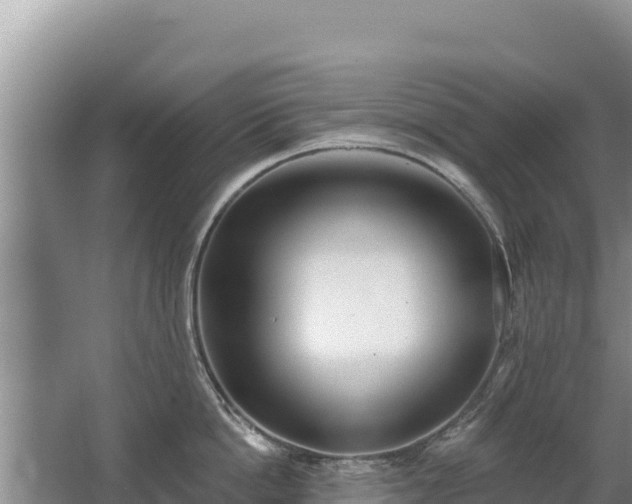 X0000062840862200601171443
