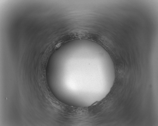X0000062840865200601171443