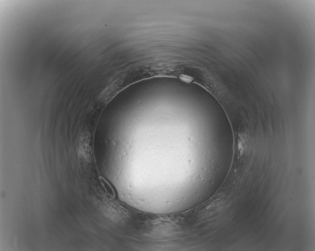 X0000062840867200601171443