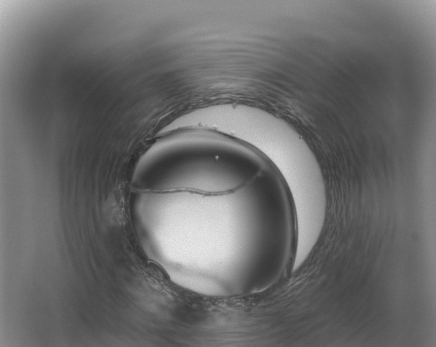 X0000062840868200601171443