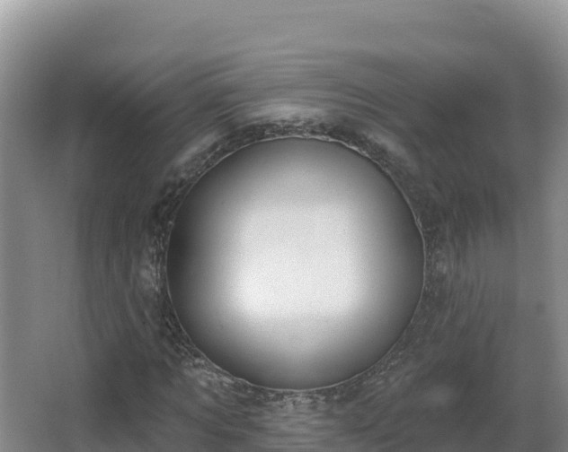 X0000062840869200601171443