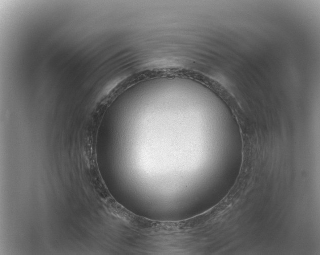 X0000062840871200601171443