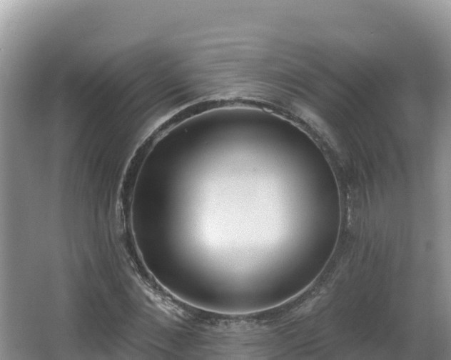 X0000062840876200601171442