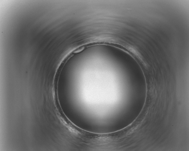 X0000062840888200601171442