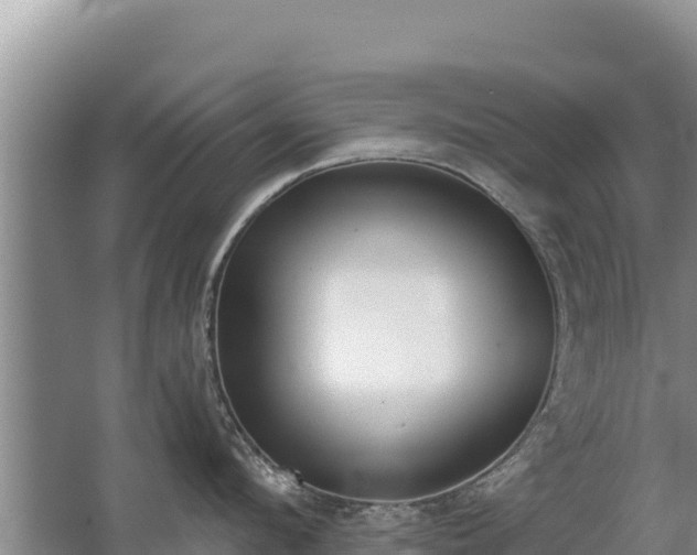X0000062840912200601171442