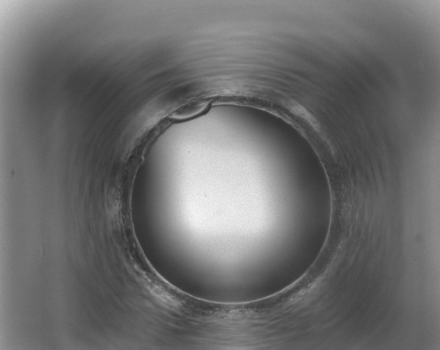 X0000062840922200601171441